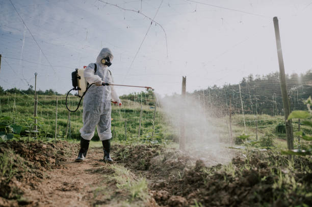 Best Best Pest Control Companies  in Barnwell, SC