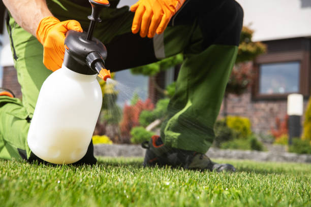Best Best Pest Control Companies  in Barnwell, SC