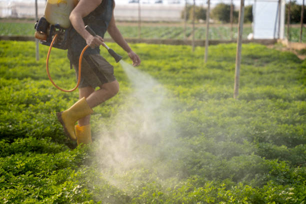 Best Mosquito Control Services  in Barnwell, SC