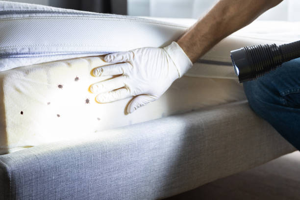 Best Pest Control Near Me  in Barnwell, SC