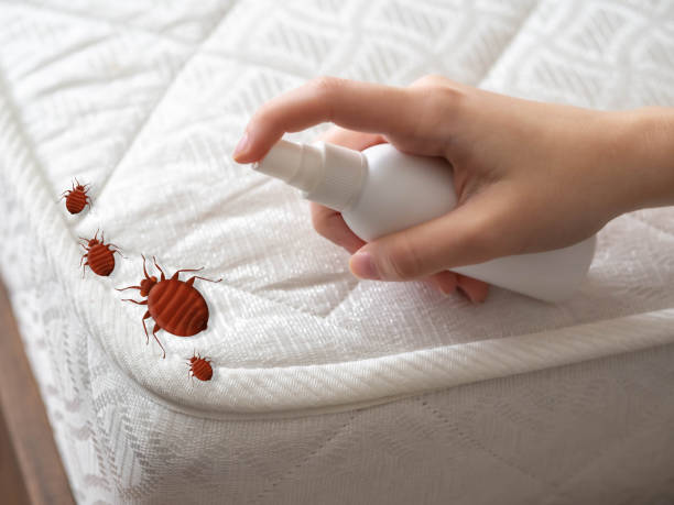 Best Pest Control for Businesses  in Barnwell, SC