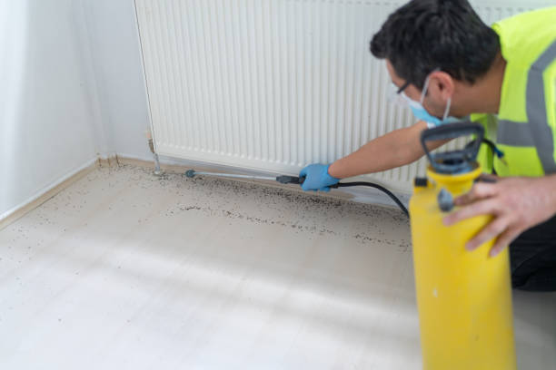 Best Exterminator Services  in Barnwell, SC