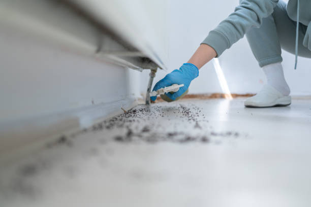 Best Wildlife Control Services  in Barnwell, SC