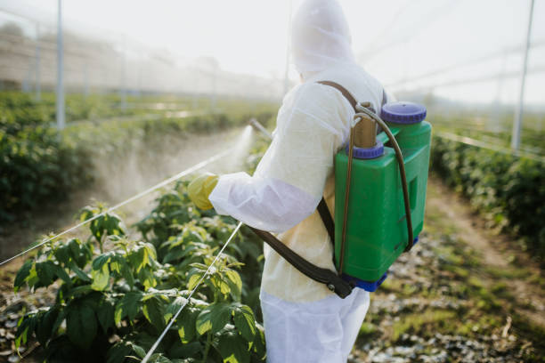 Best Bed Bug Extermination  in Barnwell, SC